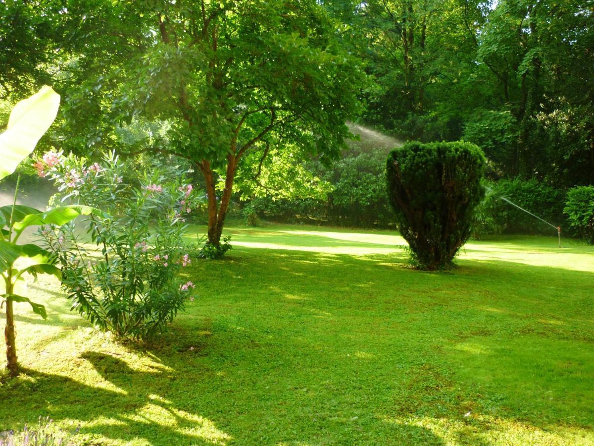 Studio Winkelweg *